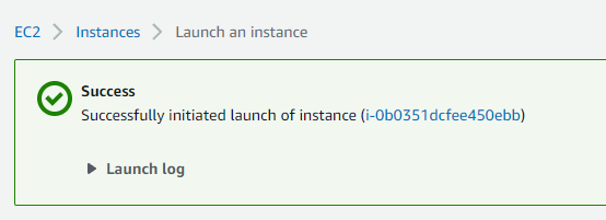 Instance launch success and log dialogue