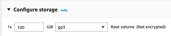 Configure storage menu for root volume