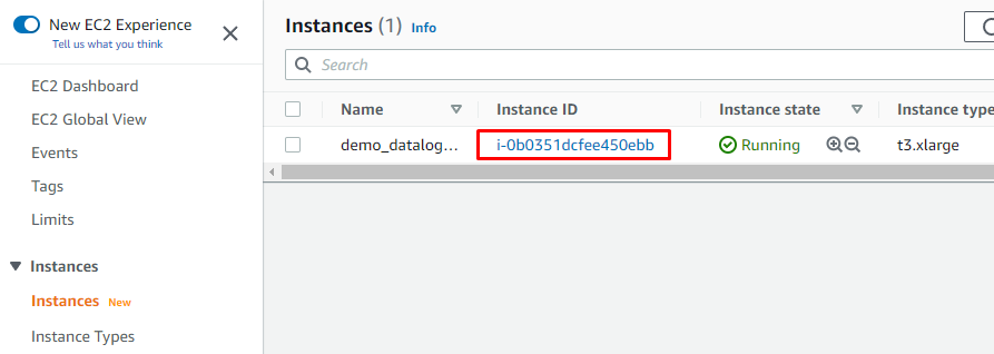 Highlighted instance ID in Instances view