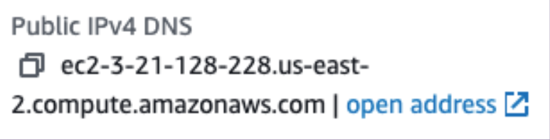 Viewing the public IPv4 DNS of your instance