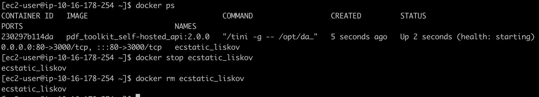 Docker commands run in a terminal